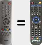 Télécommande pour remplacer CT-841 (V20100980)