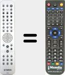 Télécommande pour remplacer RAX31 (ZN043200)