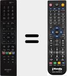 Télécommande pour remplacer RC 4847 (23100151)