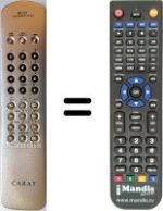 Replacement remote control CARAT STV 2820 / 31