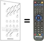 Télécommande équivalente 20 / 40 CHANNELS US