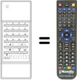 Télécommande équivalente 98732 A