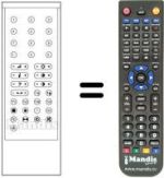 Télécommande équivalente RC1000