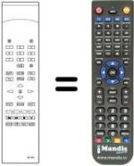 Télécommande équivalente RC505