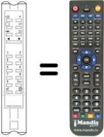 Télécommande équivalente RCT300