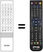 Replacement remote control 6166020