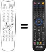 Télécommande équivalente 1007091008 (90 CHANNELS)