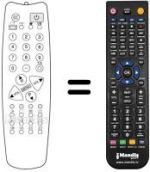 Télécommande équivalente 1007092010
