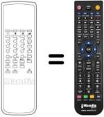 Télécommande équivalente TRC 013