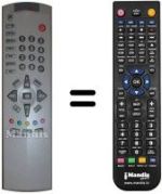 Télécommande équivalente UY2187F4904A
