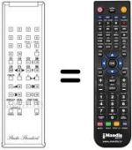 Télécommande équivalente RC100