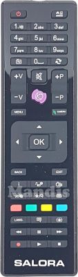 Télécommande d'origine SALORA RC4875 (23266443)