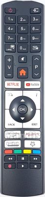 Télécommande d'origine HYUNDAI RC4518P (30109148) Télécommande d'origine HYUNDAI RC4518P (30109148)