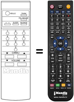 Replacement remote control 55 TLC