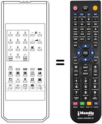 Replacement remote control SCHNEIDER STV 5590
