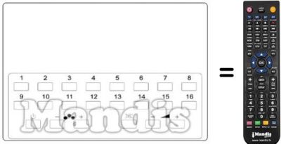 Gleichwertige Fernbedienung REMCON317