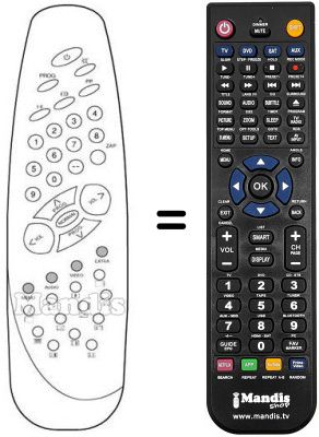 Replacement remote control RC1030