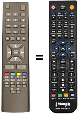 Replacement remote control RC2445