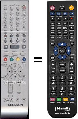 Replacement remote control Ferguson WHV3163